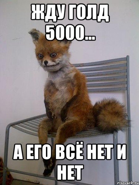 Жду Голд 5000... А его Всё нет и нет, Мем Упоротая лиса