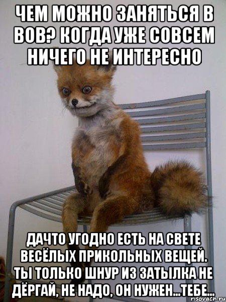 Чем можно заняться в вов? когда уже совсем ничего не интересно Дачто угодно есть на свете весёлых прикольных вещей. Ты только шнур из затылка не дёргай, не надо, он нужен...тебе..., Мем Упоротая лиса