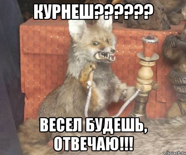 Курнеш?????? Весел будешь, отвечаю!!!, Мем Упоротый лис курит кальян