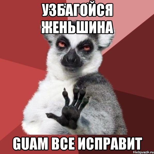 узбагойся женьшина GUAM все исправит, Мем Узбагойзя