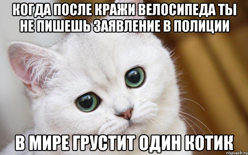 КОГДА ПОСЛЕ КРАЖИ ВЕЛОСИПЕДА ТЫ НЕ ПИШЕШЬ ЗАЯВЛЕНИЕ В ПОЛИЦИИ В МИРЕ ГРУСТИТ ОДИН КОТИК, Мем  В мире грустит один котик