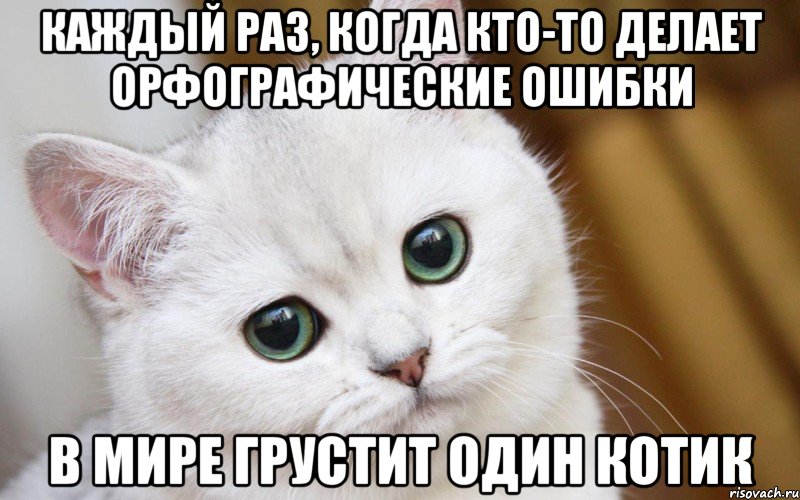 Каждый раз, когда кто-то делает орфографические ошибки в мире грустит один котик, Мем  В мире грустит один котик