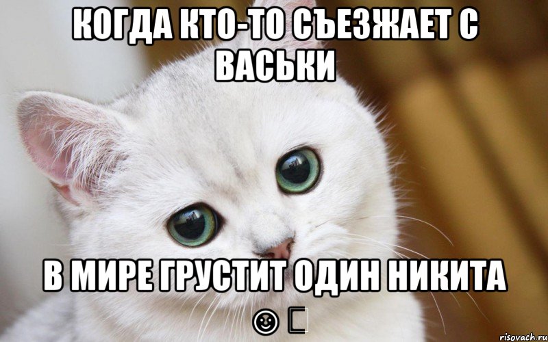 Когда кто-то съезжает с Васьки в мире грустит один Никита ☺️, Мем  В мире грустит один котик