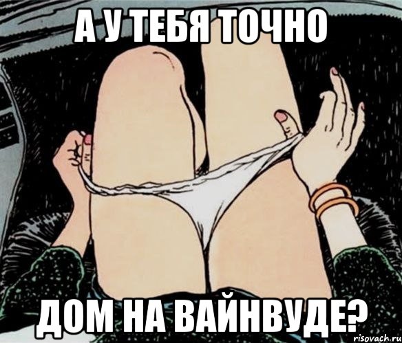 А у тебя точно Дом на вайнвуде?, Мем А ты точно