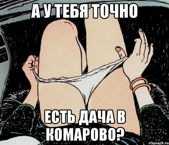 А у тебя точно Есть дача в Комарово?, Мем А ты точно