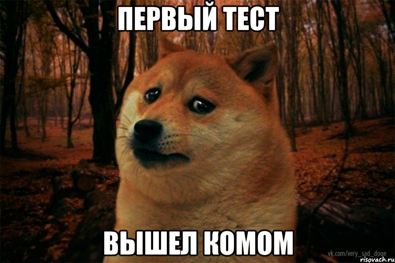 Первый тест вышел комом, Мем SAD DOGE