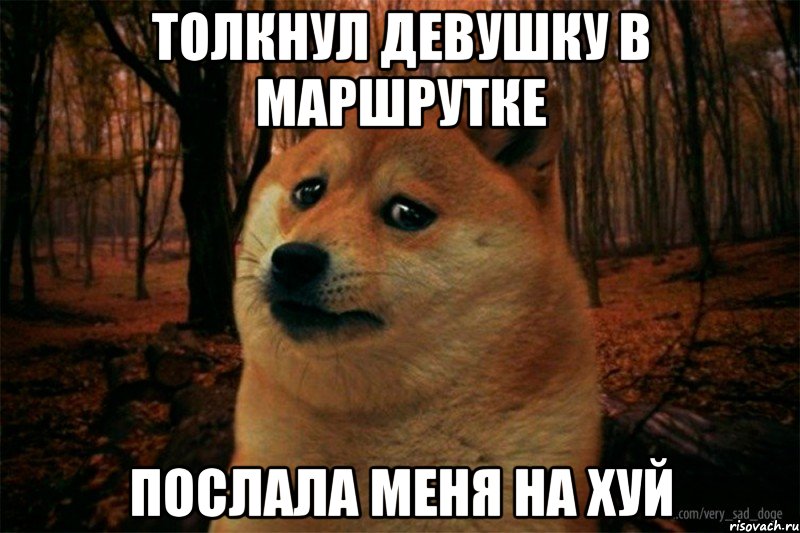 толкнул девушку в маршрутке послала меня на хуй, Мем SAD DOGE