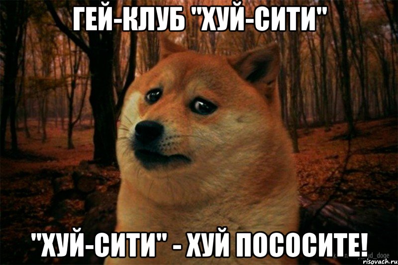 Гей-клуб "хуй-сити" "хуй-сити" - хуй пососите!, Мем SAD DOGE