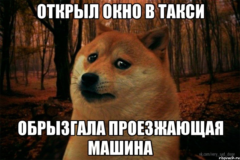 открыл окно в такси обрызгала проезжающая машина, Мем SAD DOGE