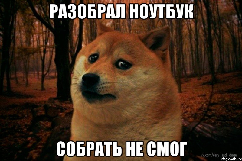 разобрал ноутбук собрать не смог, Мем SAD DOGE