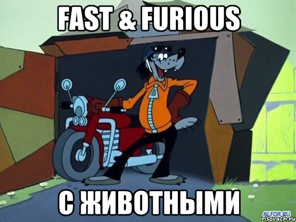 fast & furious с животными, Мем  волк с мотоциклом