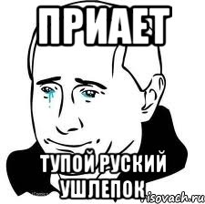 Приает Тупой руский ушлепок, Мем  Володя Путин