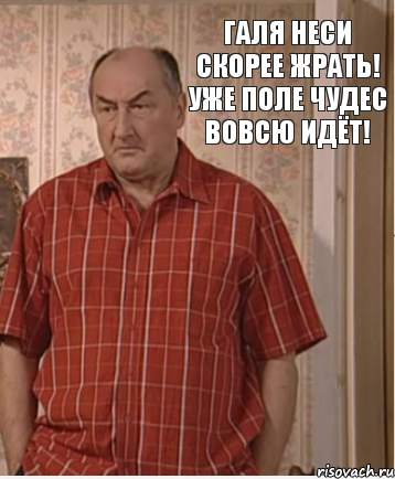 Галя неси скорее жрать! Уже поле чудес вовсю идёт!, Комикс Николай Петрович Воронин