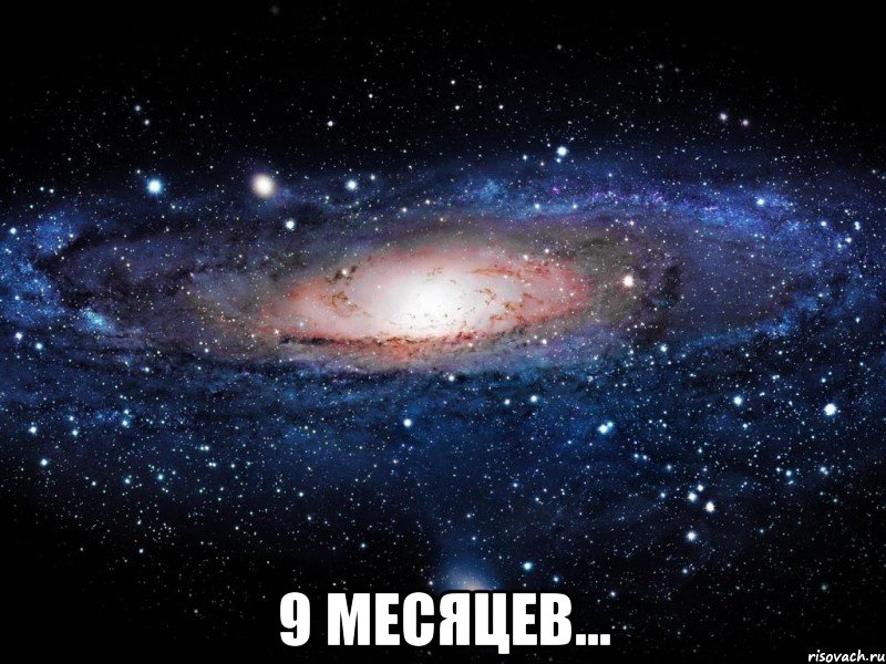  9 месяцев..., Мем Вселенная