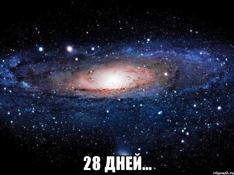  28 дней..., Мем Вселенная