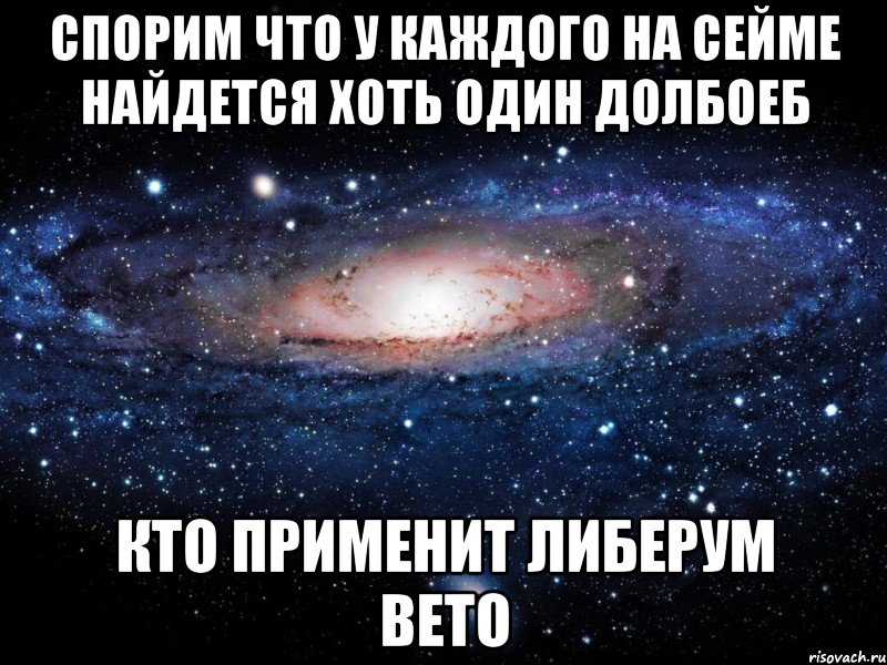 Спорим что у каждого на сейме найдется хоть один долбоеб Кто применит либерум вето, Мем Вселенная