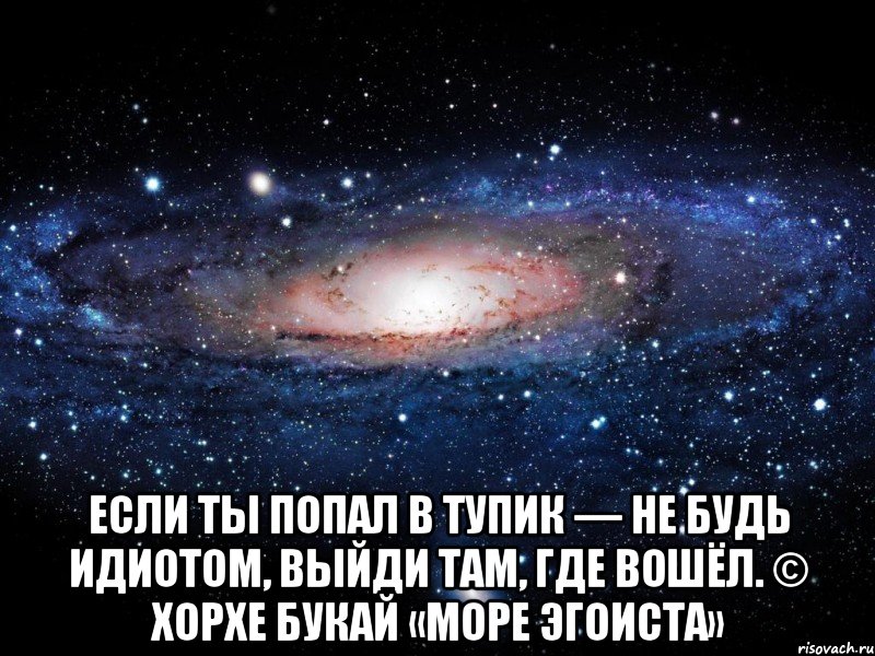  Если ты попал в тупик — не будь идиотом, выйди там, где вошёл. © Хорхе Букай «Море Эгоиста», Мем Вселенная