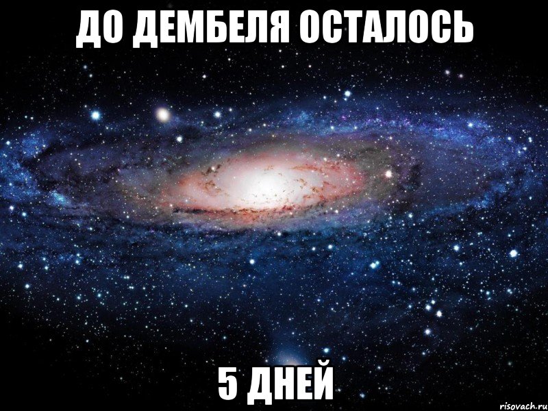 До дембеля осталось 5 дней, Мем Вселенная