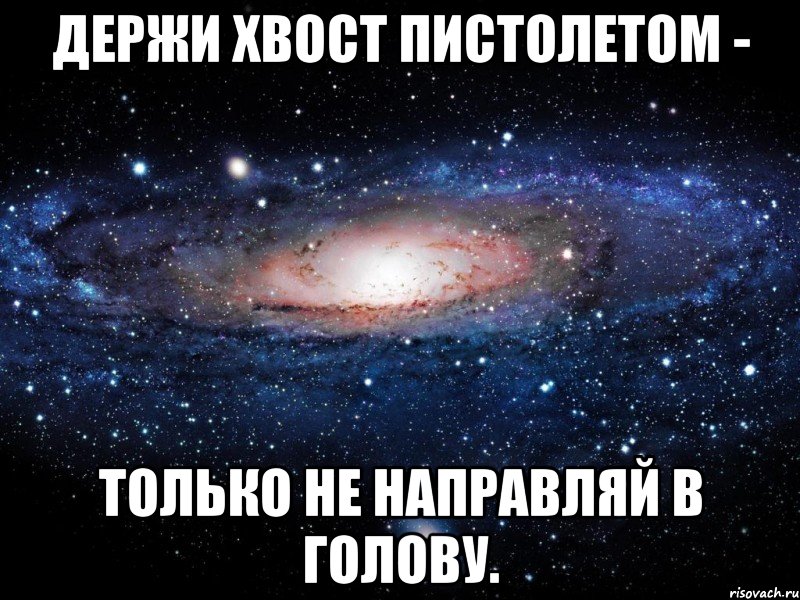 Держи хвост пистолетом - только не направляй в голову., Мем Вселенная