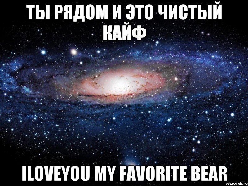 Ты рядом и это чистый кайф Iloveyou my favorite bear, Мем Вселенная