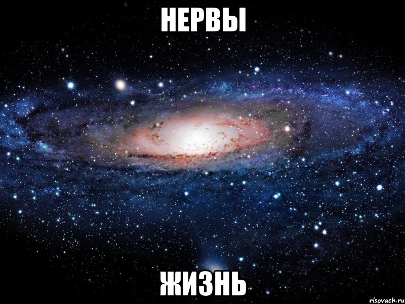 Нервы Жизнь, Мем Вселенная