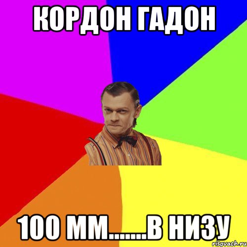 кордон гадон 100 мм.......в низу