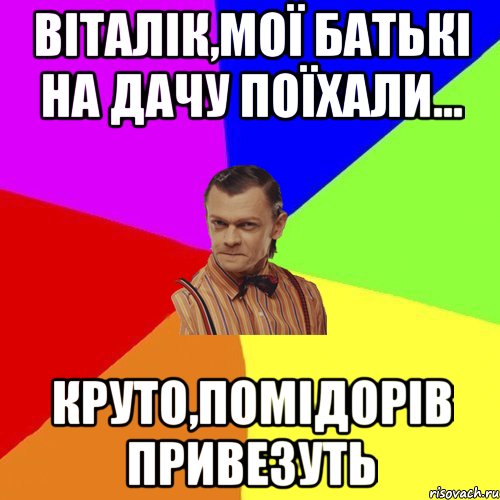 Віталік,мої батькі на дачу поїхали... Круто,помідорів привезуть, Мем Вталька