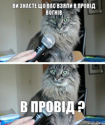 ви знаєте що вас взяли в провід вогнів в провід ?, Комикс  кот с микрофоном