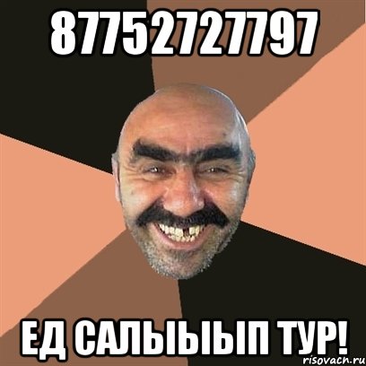 87752727797 ед салыыып тур!, Мем Я твой дом труба шатал