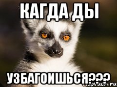 Кагда ды Узбагоишься???, Мем Я збагоен