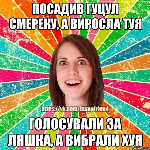 посадив гуцул смереку, а виросла туя голосували за Ляшка, а вибрали хуя, Мем Йобнута Подруга ЙоП