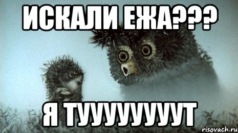 Искали ежа??? Я туууууууут, Мем Ёжик в Тумане