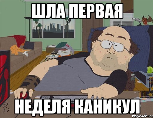 ШЛА ПЕРВАЯ НЕДЕЛЯ КАНИКУЛ, Мем   Задрот south park