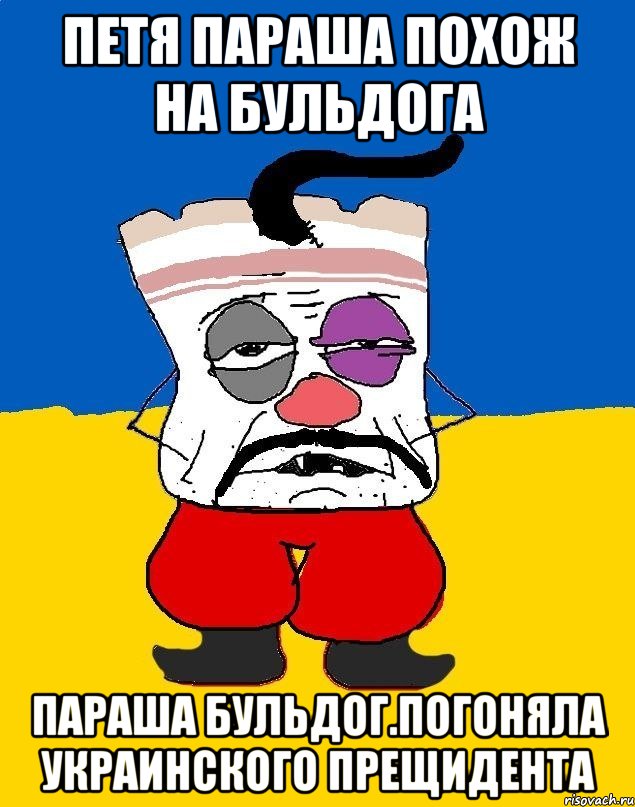 Петя параша похож на бульдога Параша бульдог.погоняла украинского прещидента, Мем Западенец - тухлое сало