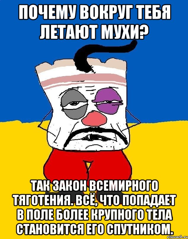 Почему вокруг тебя летают мухи? Так закон всемирного тяготения. Всё, что попадает в поле более крупного тела становится его спутником., Мем Западенец - тухлое сало