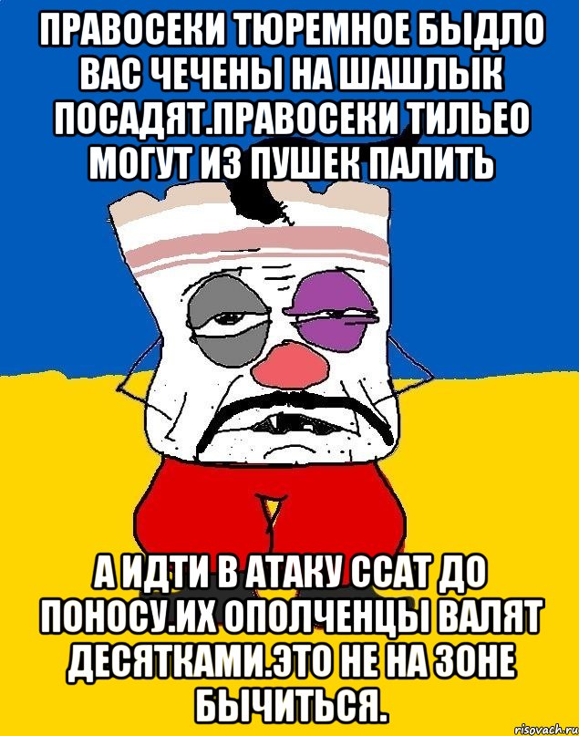 Правосеки тюремное быдло вас чечены на шашлык посадят.правосеки тильео могут из пушек палить А идти в атаку ссат до поносу.их ополченцы валят десятками.это не на зоне бычиться., Мем Западенец - тухлое сало