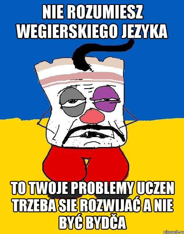 Nie rozumiesz wegierskiego jezyka To twoje problemy uczen trzeba sie rozwijać a nie być bydča, Мем Западенец - тухлое сало