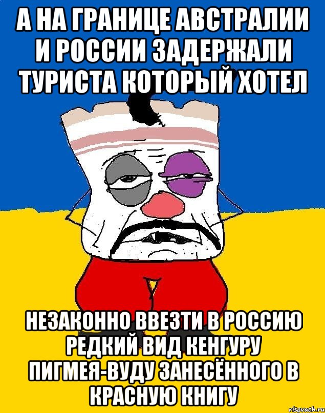 А на границе австралии и россии задержали туриста который хотел Незаконно ввезти в россию редкий вид кенгуру пигмея-вуду занесённого в красную книгу, Мем Западенец - тухлое сало