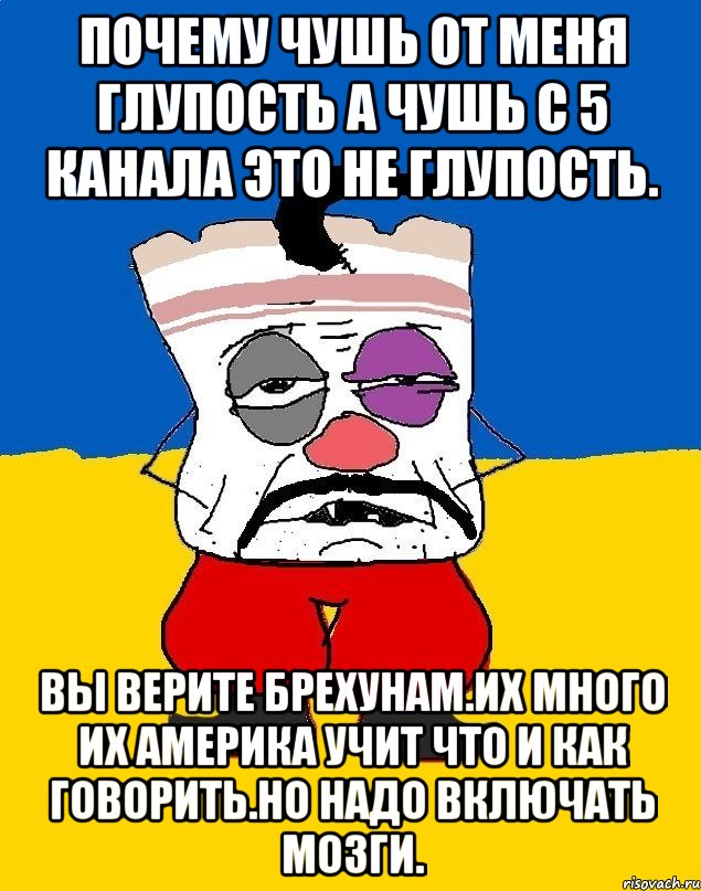 Почему чушь от меня глупость а чушь с 5 канала это не глупость. Вы верите брехунам.их много их америка учит что и как говорить.но надо включать мозги., Мем Западенец - тухлое сало