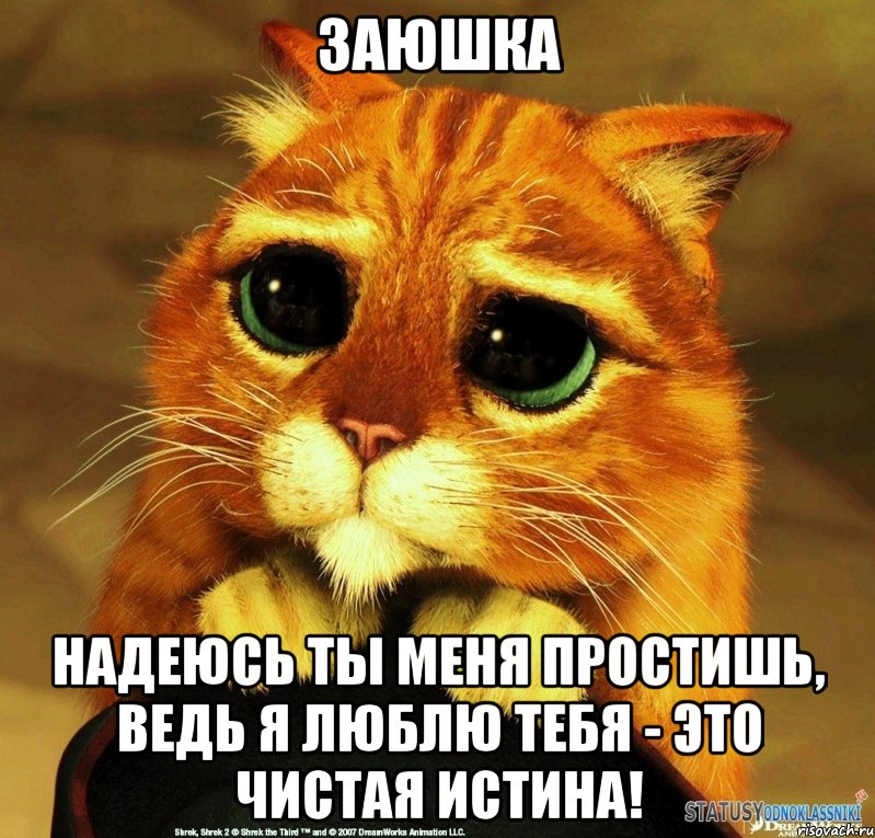 заюшка Надеюсь ты меня простишь, Ведь я люблю тебя - это чистая истина!, Мем Котик из Шрека