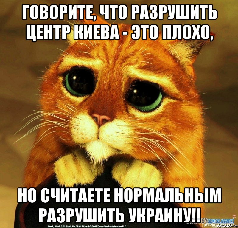 ГОВОРИТЕ, ЧТО РАЗРУШИТЬ ЦЕНТР КИЕВА - ЭТО ПЛОХО, НО СЧИТАЕТЕ НОРМАЛЬНЫМ РАЗРУШИТЬ УКРАИНУ!!, Мем Котик из Шрека