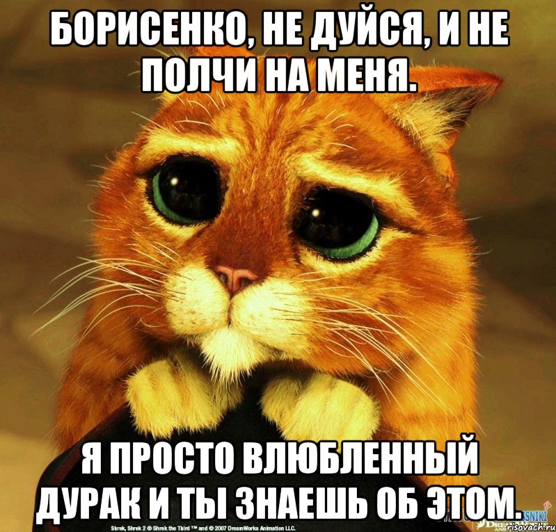 Борисенко, не дуйся, и не полчи на меня. Я просто влюбленный дурак и ты знаешь об этом., Мем Котик из Шрека