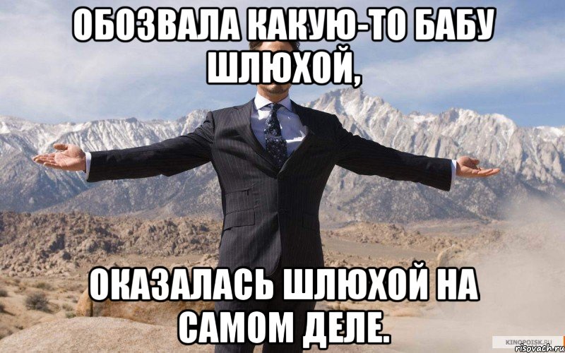 обозвала какую-то бабу шлюхой, оказалась шлюхой на самом деле., Мем железный человек