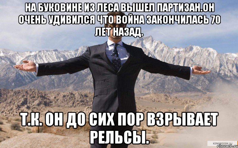 На буковине из леса вышел партизан.он очень удивился что война закончилась 70 лет назад. Т.к. он до сих пор взрывает рельсы., Мем железный человек