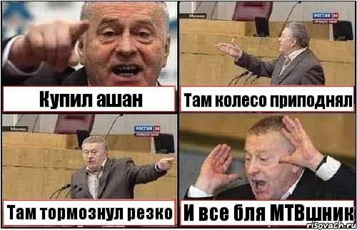 Купил ашан Там колесо приподнял Там тормознул резко И все бля MTBшник, Комикс жиреновский