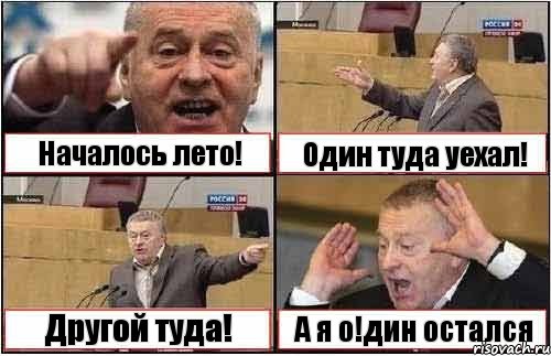 Началось лето! Один туда уехал! Другой туда! А я о!дин остался, Комикс жиреновский