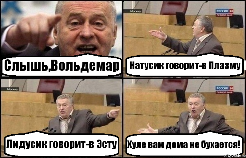 Слышь,Вольдемар Натусик говорит-в Плазму Лидусик говорит-в Эсту Хуле вам дома не бухается!, Комикс Жириновский