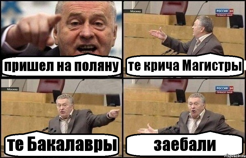 пришел на поляну те крича Магистры те Бакалавры заебали, Комикс Жириновский