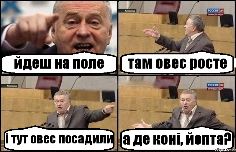 йдеш на поле там овес росте і тут овес посадили а де коні, йопта?, Комикс Жириновский