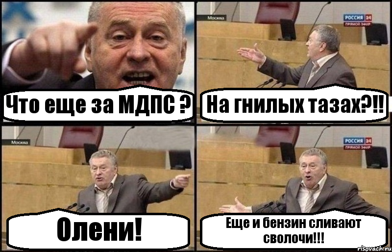 Что еще за МДПС ? На гнилых тазах?!! Олени! Еще и бензин сливают сволочи!!!, Комикс Жириновский